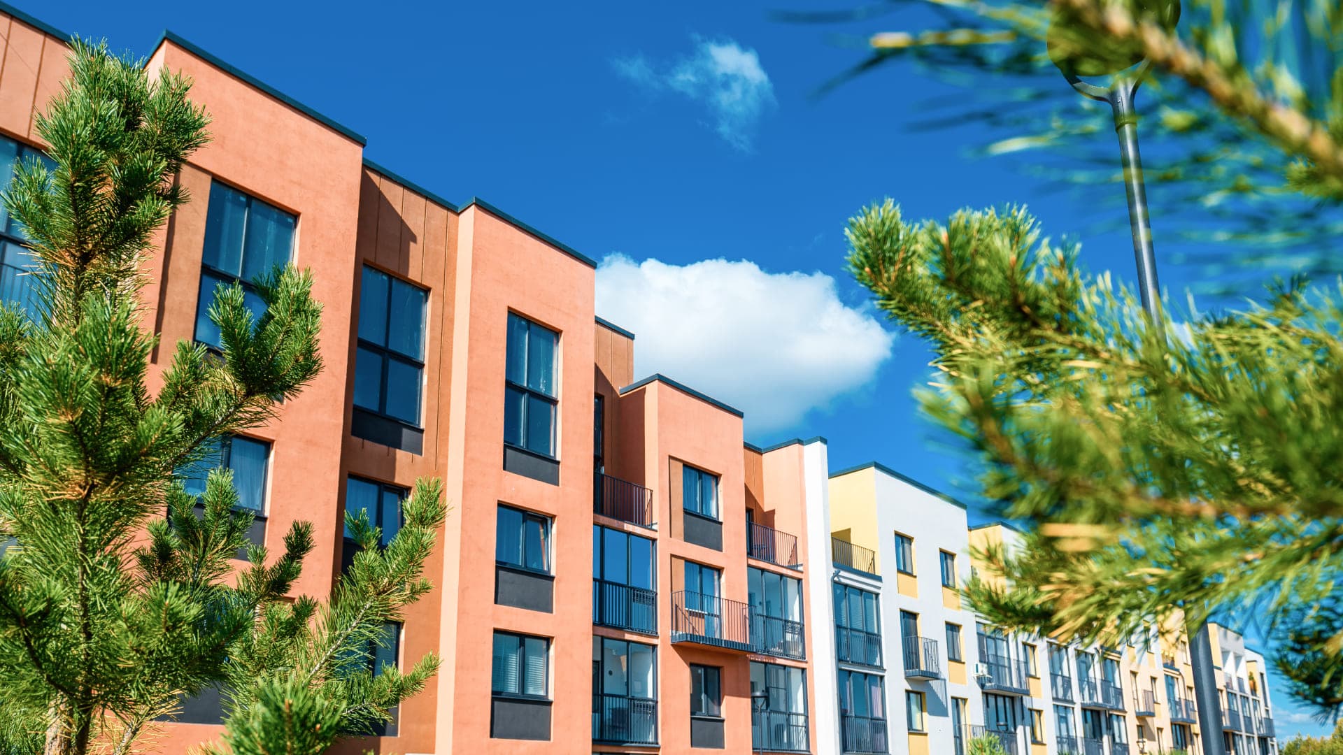 обложка мкд.jpg